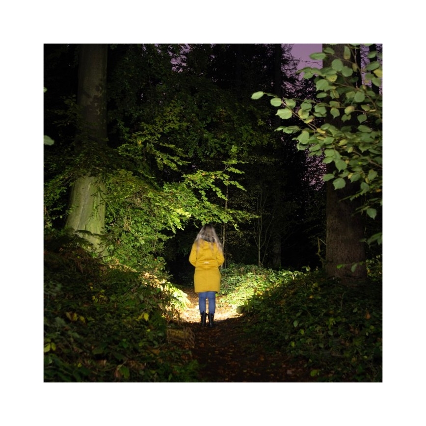 Torcia ricaricabile LED 2xLED/3W/5V 210 lm 1200 mAh nera