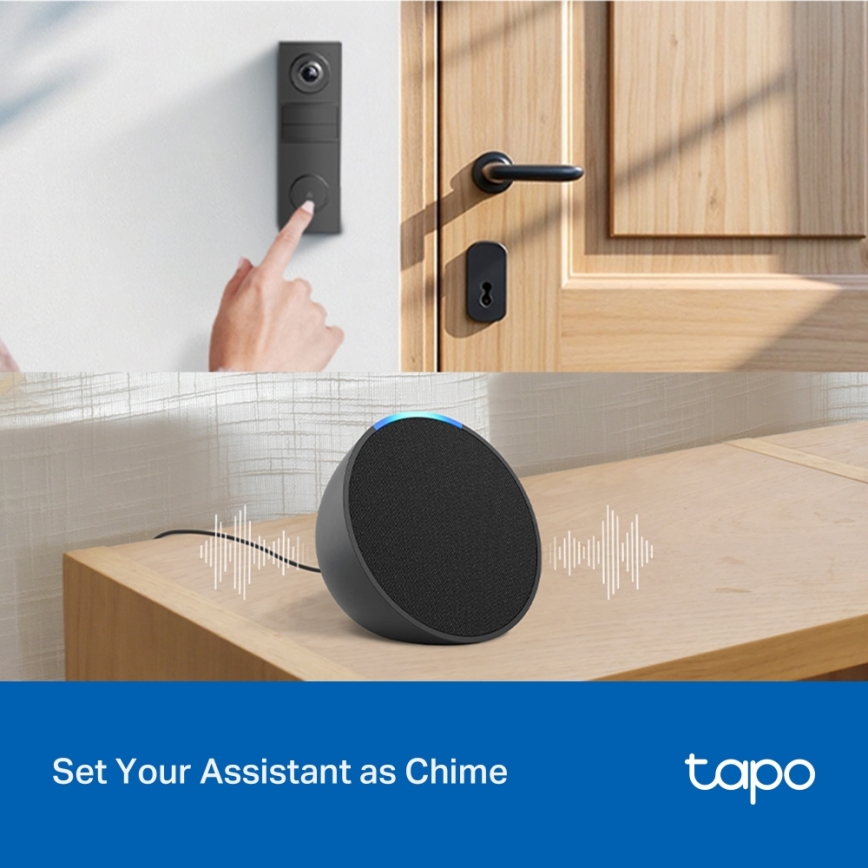 TP-Link - Mini campanello video intelligente