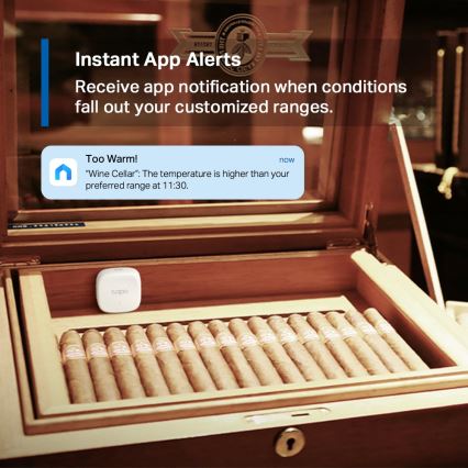 TP-Link - Sensore intelligente per la misurazione della temperatura e dell'umidità 1xCR2450