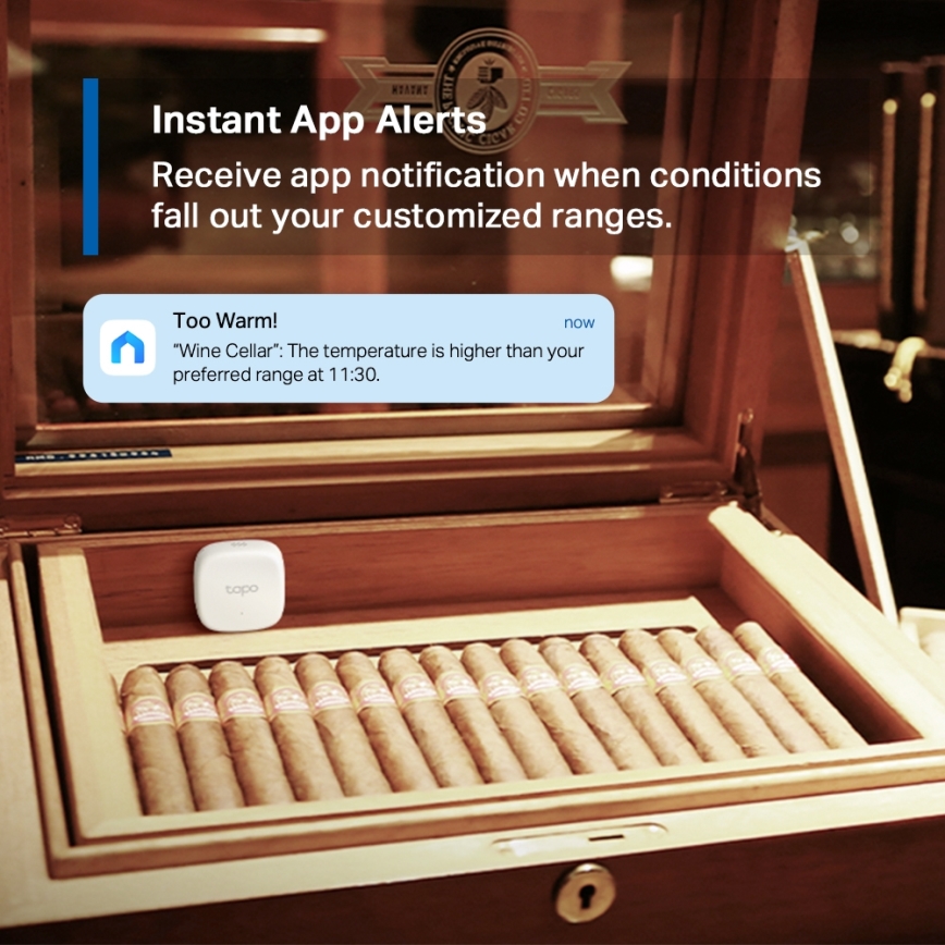 TP-Link - Sensore intelligente per la misurazione della temperatura e dell'umidità 1xCR2450