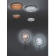 TRIO - Lampadario LED dimmerabile a sospensione con filo ZENIT 1xLED/19W/230V