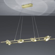 Trio - Lampadario LED su filo LEICESTER 8xLED/4W/230V