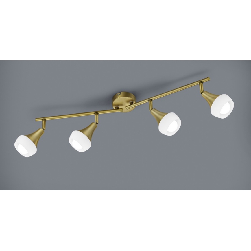 TRIO - Luce Spot TRUMPET 4xE14/40W/230V