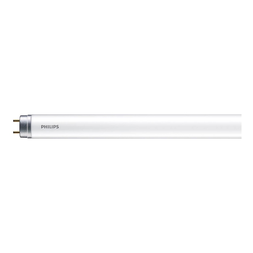 Tubo fluorescente a LED Philips T8 G13/16W/230V 6500K 120 cm