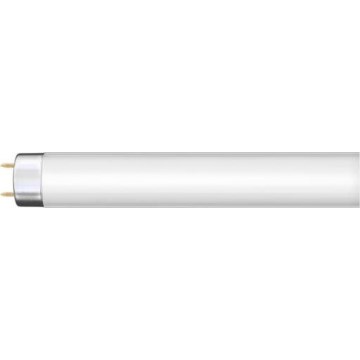 Tubo fluorescente G13/36W/230V 120 cm