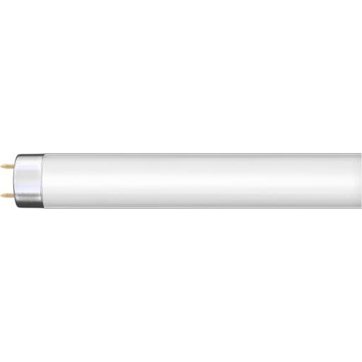 Tubo fluorescente G13/36W/230V 120 cm