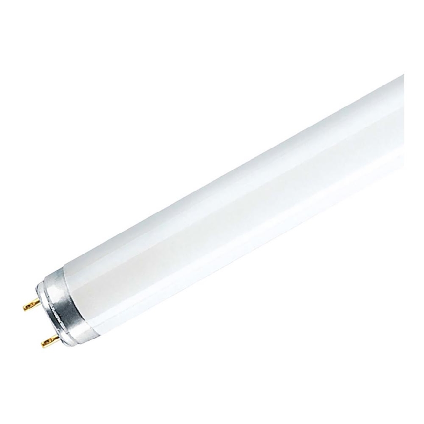 Tubo fluorescente G13/36W/230V 6500K