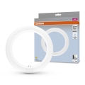 Tubo fluorescente LED G10q/11W/230V 4000K - Osram