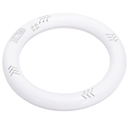 Tubo fluorescente LED G10q/14W/230V 3000K - Aigostar
