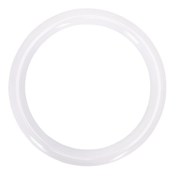 Tubo fluorescente LED G10q/17W/230V 6500K - Aigostar