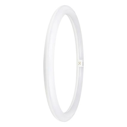Tubo fluorescente LED G10q/24W/230V 4000K - Osram