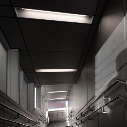 Tubo fluorescente LED T5 G5/8W/230V 4000K 60 cm