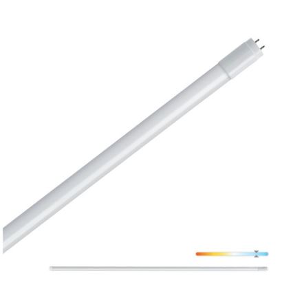 Tubo fluorescente LED T8 G13/22W/230V 6500K 150 cm