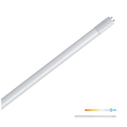 Tubo fluorescente LED T8 G13/9W/230V 6500K 60 cm