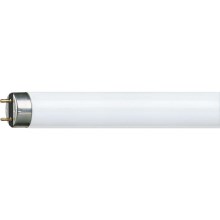 Tubo fluorescente Philips G13/30W/230V
