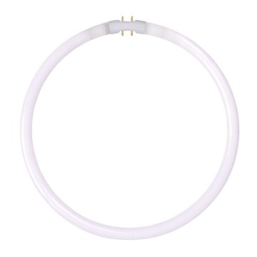 Tubo fluorescente T5 2GX13/40W/230V - Lucide 50105/40/33