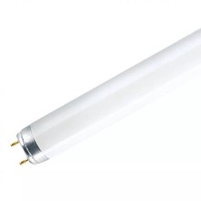 Tubo fluorescente T8 G13/18W/230V 6500K 60 cm