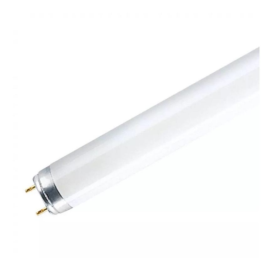 Tubo fluorescente T8 G13/18W/230V 6500K 60 cm