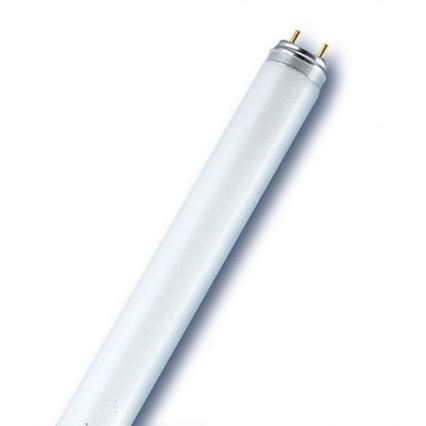 Tubo fluorescente T8 G13/18W/230V 6500K 60 cm