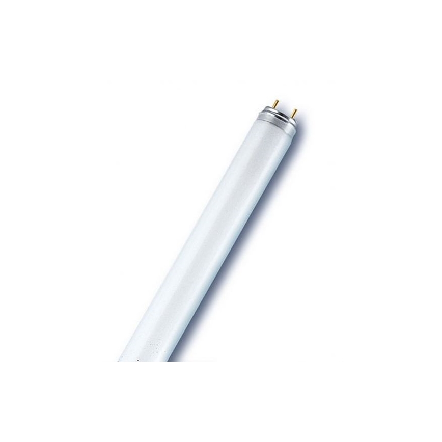 Tubo fluorescente T8 G13/18W/230V 6500K 60 cm