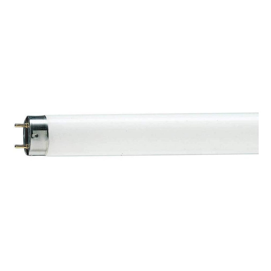 Tubo fluorescente T8 G13/58W/110V 4000K