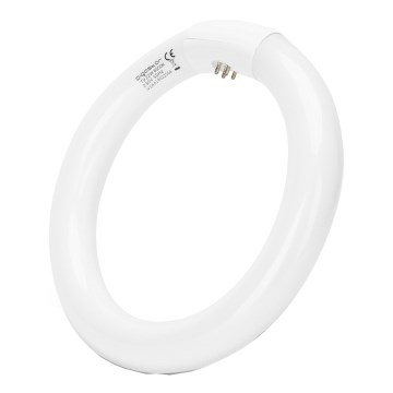 Tubo fluorescente T9 G10Q/22W/230V 6500K - Aigostar