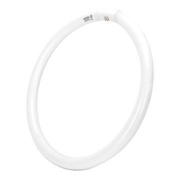 Tubo fluorescente T9 G10q/40W/230V 6500K - Aigostar