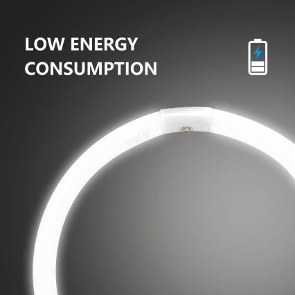 Tubo fluorescente T9 G10q/40W/230V 6500K - Aigostar