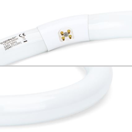 Tubo fluorescente T9 G24q-1/32W/230V 6500K - Aigostar