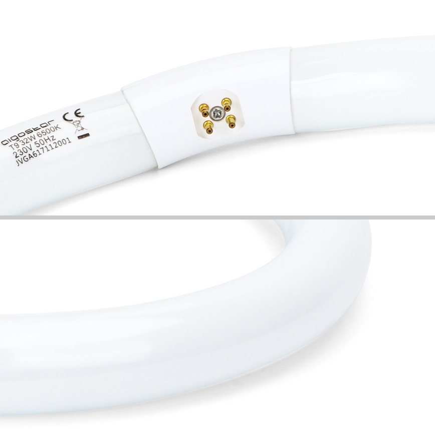 Tubo fluorescente T9 G24q-1/32W/230V 6500K - Aigostar