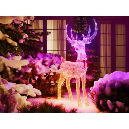 Twinkly - Renna natalizia LED RGBW dimmerabile da esterno REINGEERS 250xLED IP44 Wi-Fi