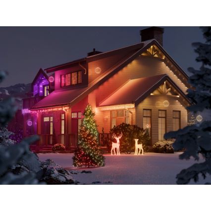 Twinkly - Renna natalizia LED RGBW dimmerabile da esterno REINGEERS 250xLED IP44 Wi-Fi