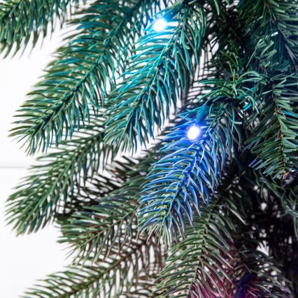 Twinkly - Ghirlanda natalizia dimmerabile LED RGBW 50 LED 2,7 m Wi-Fi