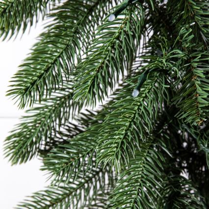 Twinkly - Ghirlanda natalizia dimmerabile LED RGBW 50 LED 2,7 m Wi-Fi