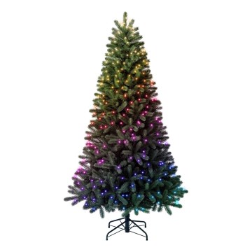 Twinkly - LED RGBW Albero di Natale Dimmerabile TREE 435xLED 2,1 m Wi-Fi