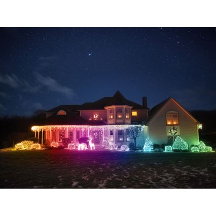 Twinkly - LED RGBW Dimmerabile renne natalizie da esterno 160xLED IP44 Wi-Fi