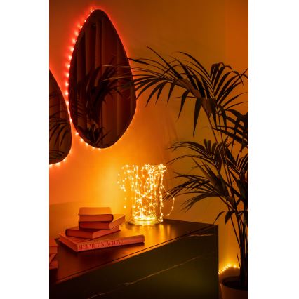 Twinkly - LED RGB Catena Dimmer Natalizia DOTS 60xLED 7 m USB Wi-Fi