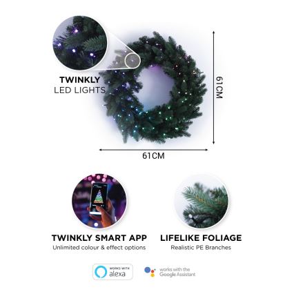 Twinkly - LED RGB Dimmerabile Ghirlanda di Natale PRE-LIT WREATH 50xLED diametro 61cm Wi-Fi