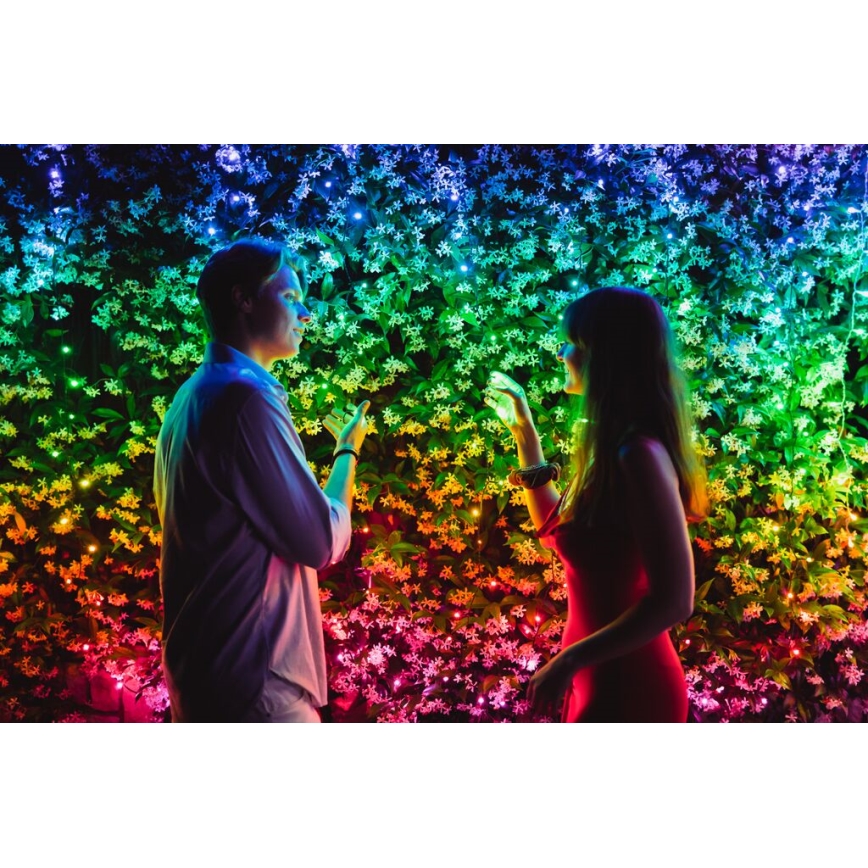 Twinkly - LED RGBW Dimmerabile per esterni Catena natalizia STRINGS 250xLED 23,5m IP44 Wi-Fi