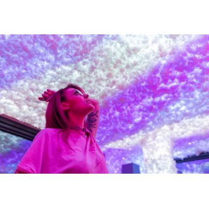 Twinkly - Catena luminosa LED RGBW dimmerabile per esterni STRINGS 250 LED 23,5 m IP44 Wi‑Fi