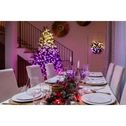Twinkly - LED RGBW Catena di Natale dimmerabile per esterni STRINGS 250xLED 23,5m IP44 Wi-Fi