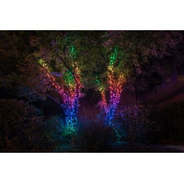 Twinkly - LED RGBW Dimmerabile per esterni Catena natalizia STRINGS 600xLED 51,5m IP44 Wi-Fi