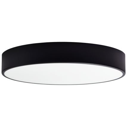 Vetro di ricambio per plafoniera CLEO 50 cm vetro
