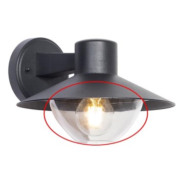Vetro di ricambio trasparente per applique, lampadario e lampada VEERLE E27