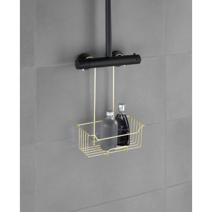 WENKO 25937100 - Cestello doccia MILO 25x36 cm acciaio inox/dorato/trasparente