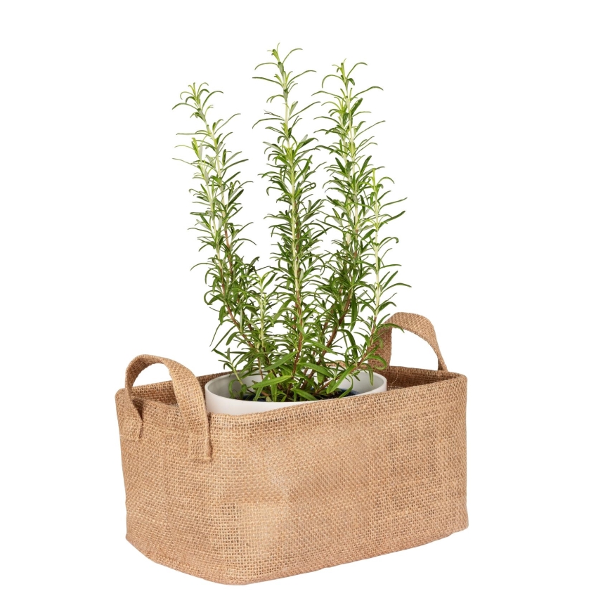 WENKO 64471100 - Cestino JUNA 24x17 cm marrone