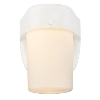Westinghouse 6106840 - Luce LED dimmerabile per esterni KEEL LED/8W/230V IP44