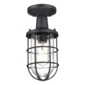 Westinghouse 6113140 - Plafoniera da esterno CRESTVIEW 1xE27/60W/230V IP44