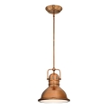 Westinghouse 6308440 - Lampadario su asta BOSWELL 1xE27/60W/230V Ø 22 cm