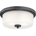 Westinghouse 6325140 - Plafoniera CEDRIC 2xE27/40W/230V Ø 33 cm